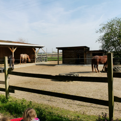 Spaziergang nach Offnadingen